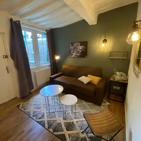 Apartment Le Studio Blanc - Studio Hypercentre - 105 Rouen